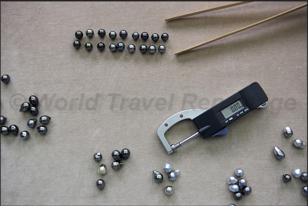 The tools for the selection of the pearls. A soft cloth a caliper to measure the diameter and a tweezers wooden to handle them