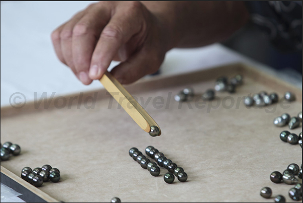 Visual control of the quality of the pearls