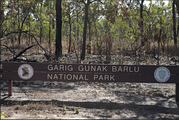 Cobourg Peninsula. Garig Ganuk Barlu NP, north east side of the Arnhem Land Aboriginal Reserve