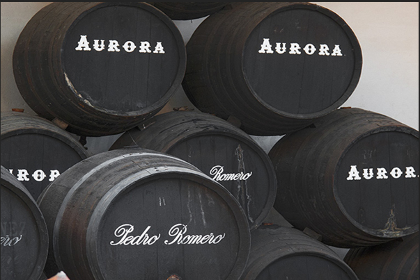 Cadiz. Wine barrels of Bodegas Tio Pepe winery