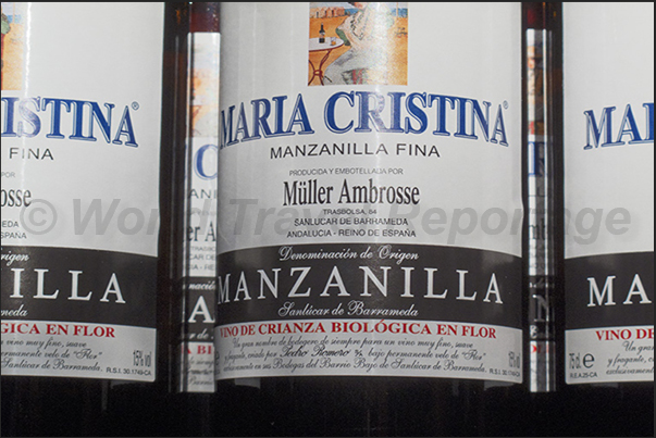 Jerez town. Manzanilla wine typical of the place