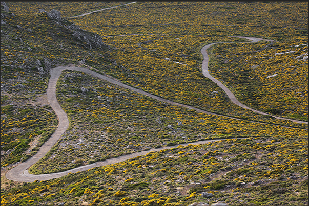 The road leading up to the monastery of Al Giorghis Vauno (330 m) The road leading up to the monastery of Al Giorghis Vauno (330 m)