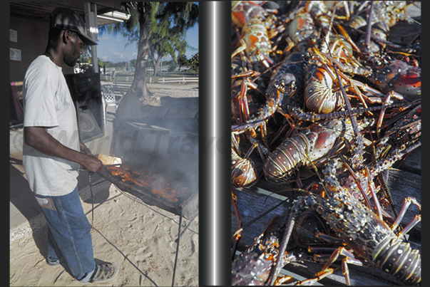 Anegada Island. Lobster breeding (south-west side of the island) Anegada Island. Lobster breeding (south-west side of the island)