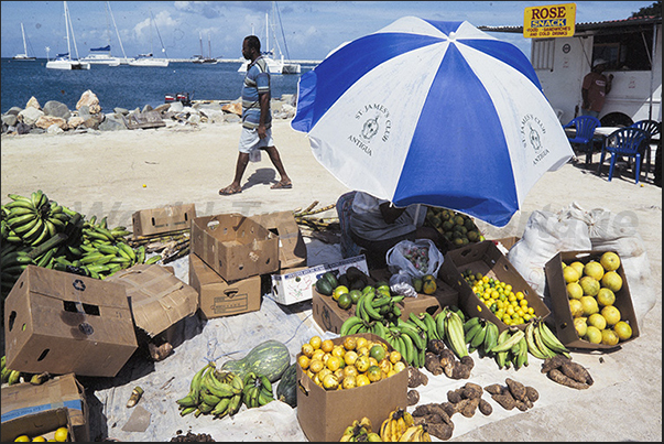 Fruit seller at the market of Marigot, capital of the French part of the island Fruit seller at the market of Marigot, capital of the French part of the island