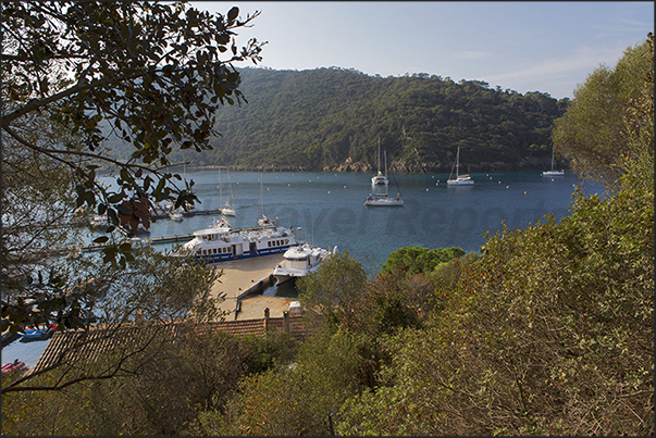 Port Cros Harbor, arrival of the ferries Port Cros Harbor, arrival of the ferries