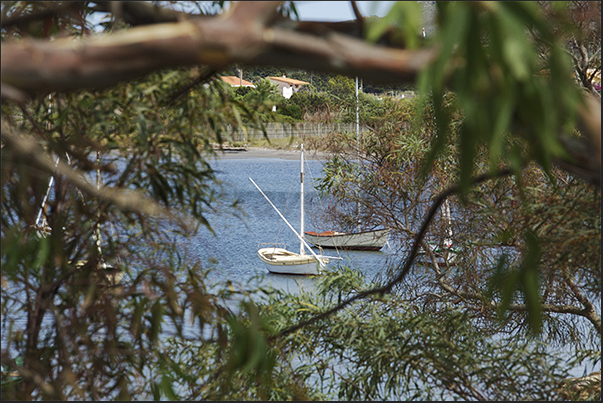 The island's fishermen still use the ancient Latin sailboats