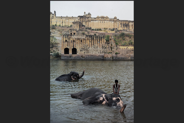 The ancient city of Agra on the banks of the Yamuna river. The ancient city of Agra on the banks of the Yamuna river.
