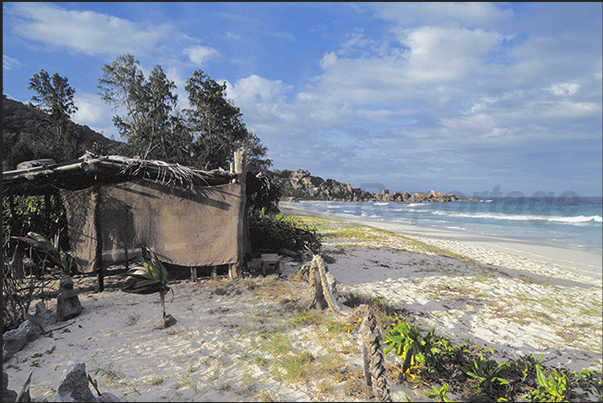 A BBQ area near the beach protected by the coral reef A BBQ area near the beach protected by the coral reef