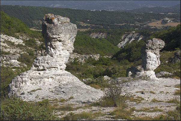 Les Mourres is an area between Folcarquier woods from which strange rocks rise Les Mourres is an area between Folcarquier woods from which strange rocks rise