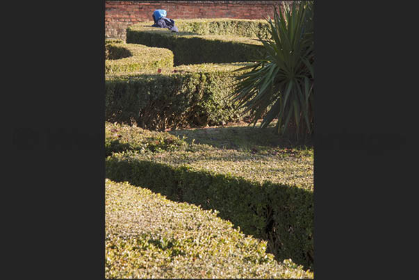 Someone tries to reach the castle through the garden maze Someone tries to reach the castle through the garden maze