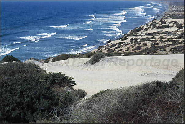 Dunes of San Quintin desert. Pacific Coast Dunes of San Quintin desert. Pacific Coast