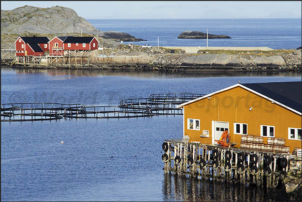 Moskenosoya island (Lofoten). there are numerous fishermen's houses along the coast, sometimes isolated and lonely Moskenosoya island (Lofoten). there are numerous fishermen's houses along the coast, sometimes isolated and lonely