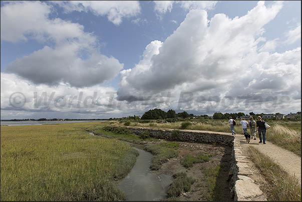 Path from Lasné to Le Hézo along the marshy area with pools of water that fill and empty with the tide Path from Lasné to Le Hézo along the marshy area with pools of water that fill and empty with the tide