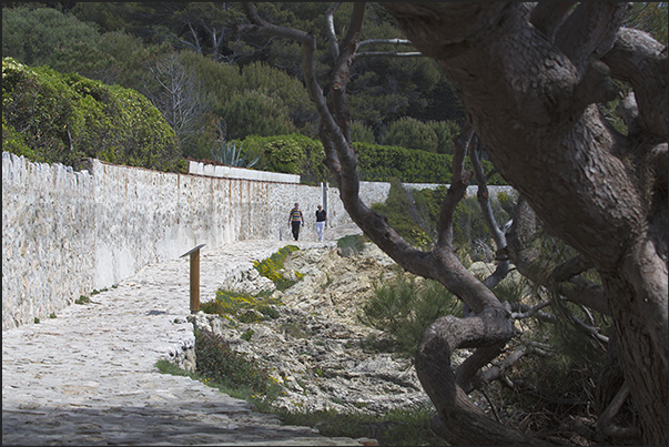 Coastal path that from the village of Saint Jean runs along the Cap Ferrat peninsula Coastal path that from the village of Saint Jean runs along the Cap Ferrat peninsula