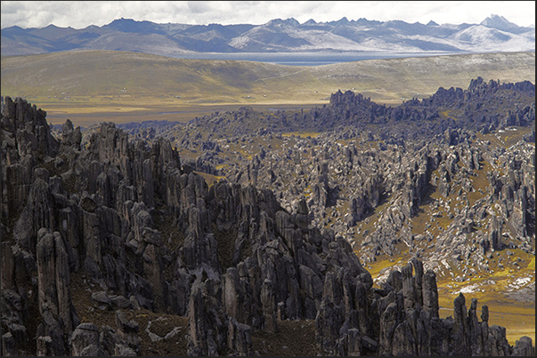 The Meseta with the Cordillera de Huayhuash on the horizon The Meseta with the Cordillera de Huayhuash on the horizon