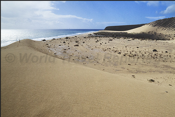 The high sand dunes that characterize the south east coast The high sand dunes that characterize the south east coast