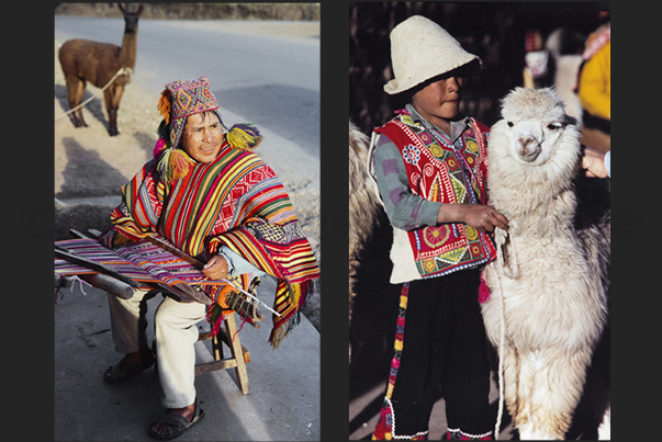 Ollantaytambo village. Carpet craftsman and shepherd with his Lama Ollantaytambo village. Carpet craftsman and shepherd with his Lama
