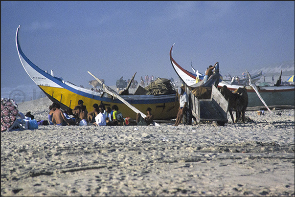 The fishermen and their families begin to prepare the boats and going out to sea The fishermen and their families begin to prepare the boats and going out to sea