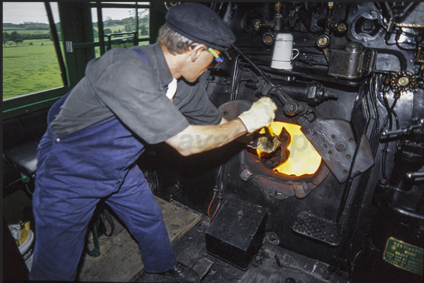 The engineer feeds the locomotive's boiler with shovelfuls of coal. The engineer feeds the locomotive's boiler with shovelfuls of coal.