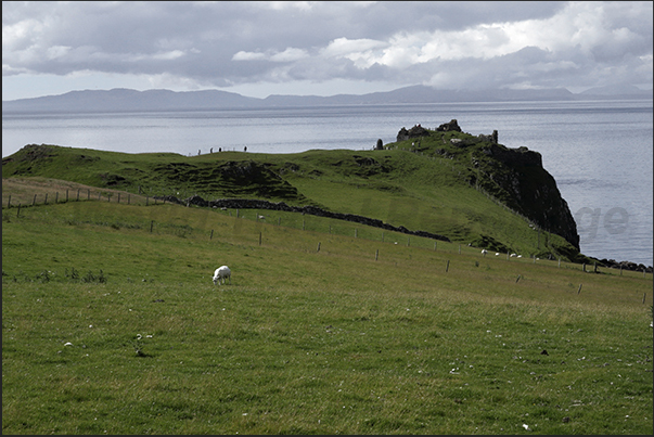Pastures and farms along the northwest coast Pastures and farms along the northwest coast