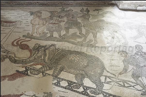 Corridor of the Great Hunt, capture of exotic animals such as a dromedary and an elephant Corridor of the Great Hunt, capture of exotic animals such as a dromedary and an elephant