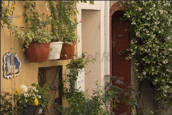 Each homeowner has plants and flowers to their liking that make the village special and unique