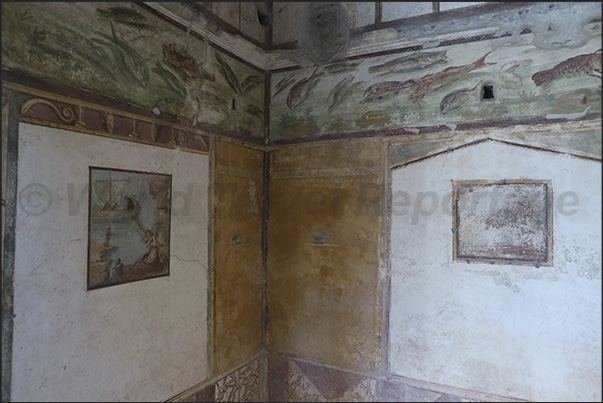 An interesting fresco depicting various types of fish and other aquatic animals