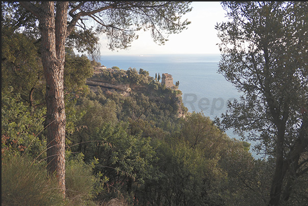 From Vietri, the Amalfitana Coast road winds through dense woods, passing near ancient towers