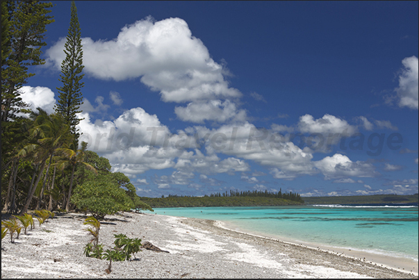 The Great Beach of Wabao Bay (south coast of the island) where tourists arrive with cruise ships The Great Beach of Wabao Bay (south coast of the island) where tourists arrive with cruise ships