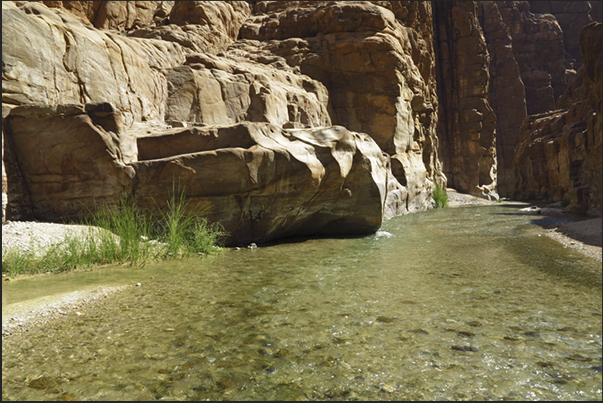 The entrance to the Wadi Mujib Canyon The entrance to the Wadi Mujib Canyon