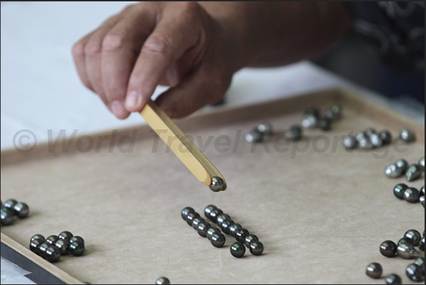 Visual control of the quality of the pearls Visual control of the quality of the pearls