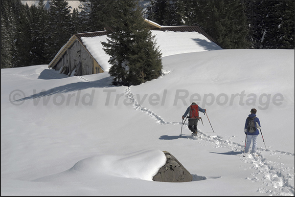 With snowshoes along the Rosenlaui Valley. One of the sports most practiced in the winter in the valleys around Meiringen With snowshoes along the Rosenlaui Valley. One of the sports most practiced in the winter in the valleys around Meiringen