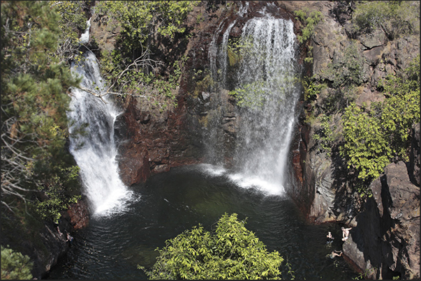 Florence Falls. Waterfalls in the forest with a series of natural pools where is possible to swim safely Florence Falls. Waterfalls in the forest with a series of natural pools where is possible to swim safely