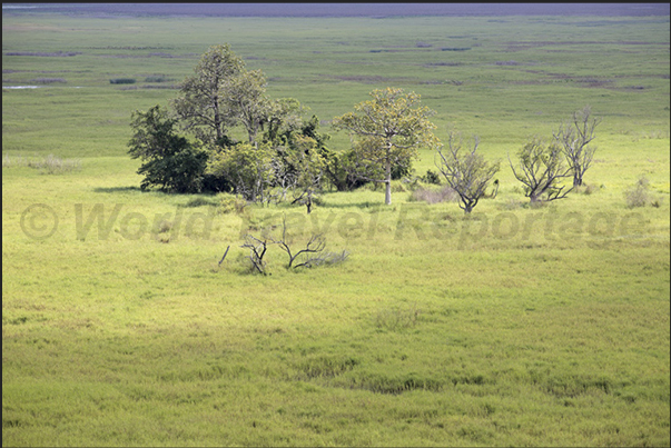 View of the marshland called, from the Aboriginal people, the Billabong and the town of Gumbalanya (Oenpelli) View of the marshland called, from the Aboriginal people, the Billabong and the town of Gumbalanya (Oenpelli)