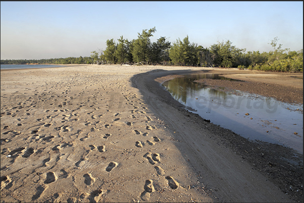 Cobourg Peninsula. Beaches beautiful but dangerous due to the presence of saltwater crocodiles Cobourg Peninsula. Beaches beautiful but dangerous due to the presence of saltwater crocodiles