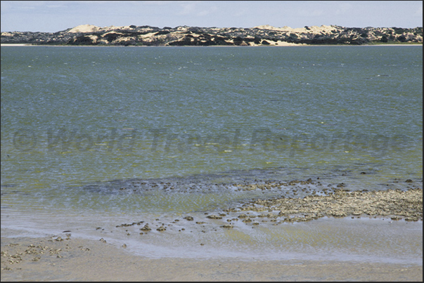 The coastal lagoon separated from the ocean by a strip of dunes and sand, part of the Coorong National Park The coastal lagoon separated from the ocean by a strip of dunes and sand, part of the Coorong National Park