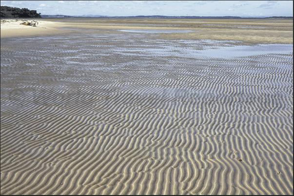 Low tide discovers the sandy bottom of the Inverlock Bay near Melbourne Low tide discovers the sandy bottom of the Inverlock Bay near Melbourne