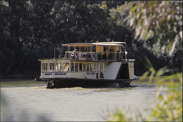 Echuca. Cruise on Murray River Echuca. Cruise on Murray River
