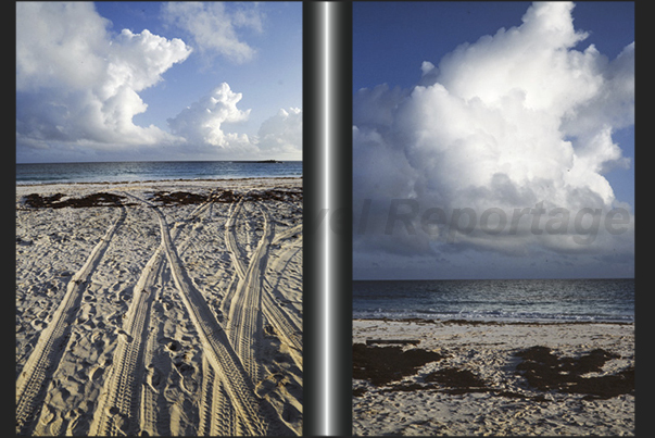 The beaches on the Atlantic Ocean (east coast) The beaches on the Atlantic Ocean (east coast)