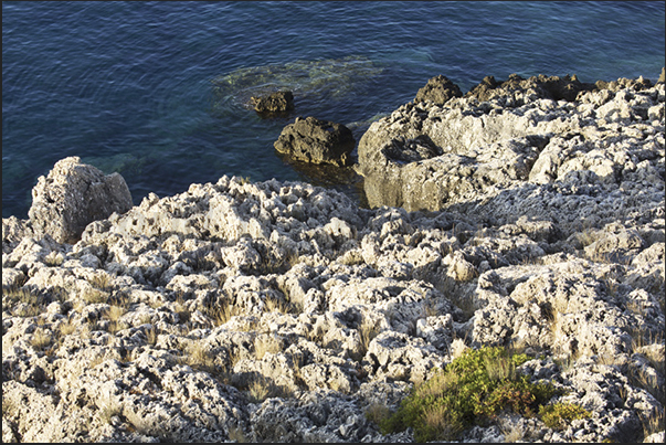 The coast of Cape Kstylis, near the town of Plytra The coast of Cape Kstylis, near the town of Plytra