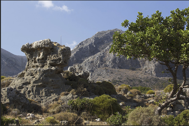 Fossil Forest, area of rocky pinnacles between Zovolo Cape and Maleas Cape Fossil Forest, area of rocky pinnacles between Zovolo Cape and Maleas Cape