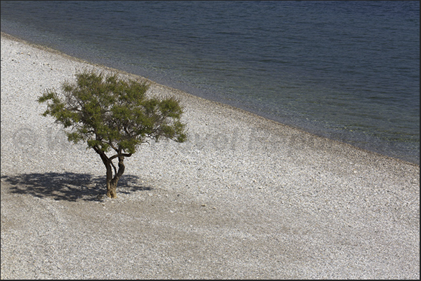 Beaches along the coast of Tserfor Bay Beaches along the coast of Tserfor Bay